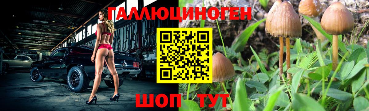 Добрянка  Псилоцибиновые грибы мухоморы  Псилоцибиновые грибы GOLDEN TEACHER  Вход с VPN 